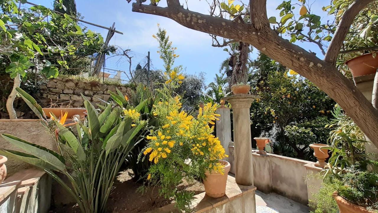 Villa Dorothee Capri Dış mekan fotoğraf