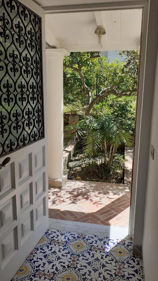 Villa Dorothee Capri Dış mekan fotoğraf