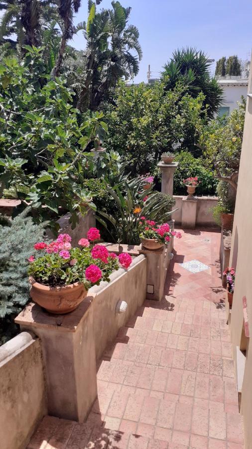 Villa Dorothee Capri Dış mekan fotoğraf