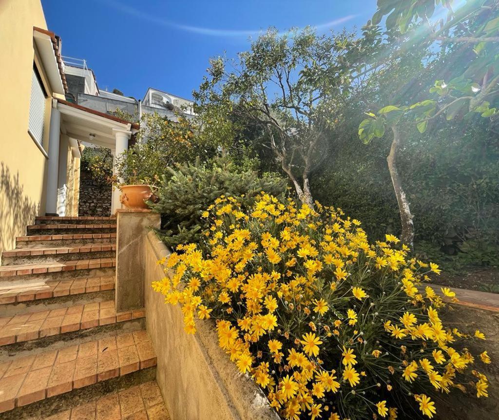 Villa Dorothee Capri Dış mekan fotoğraf