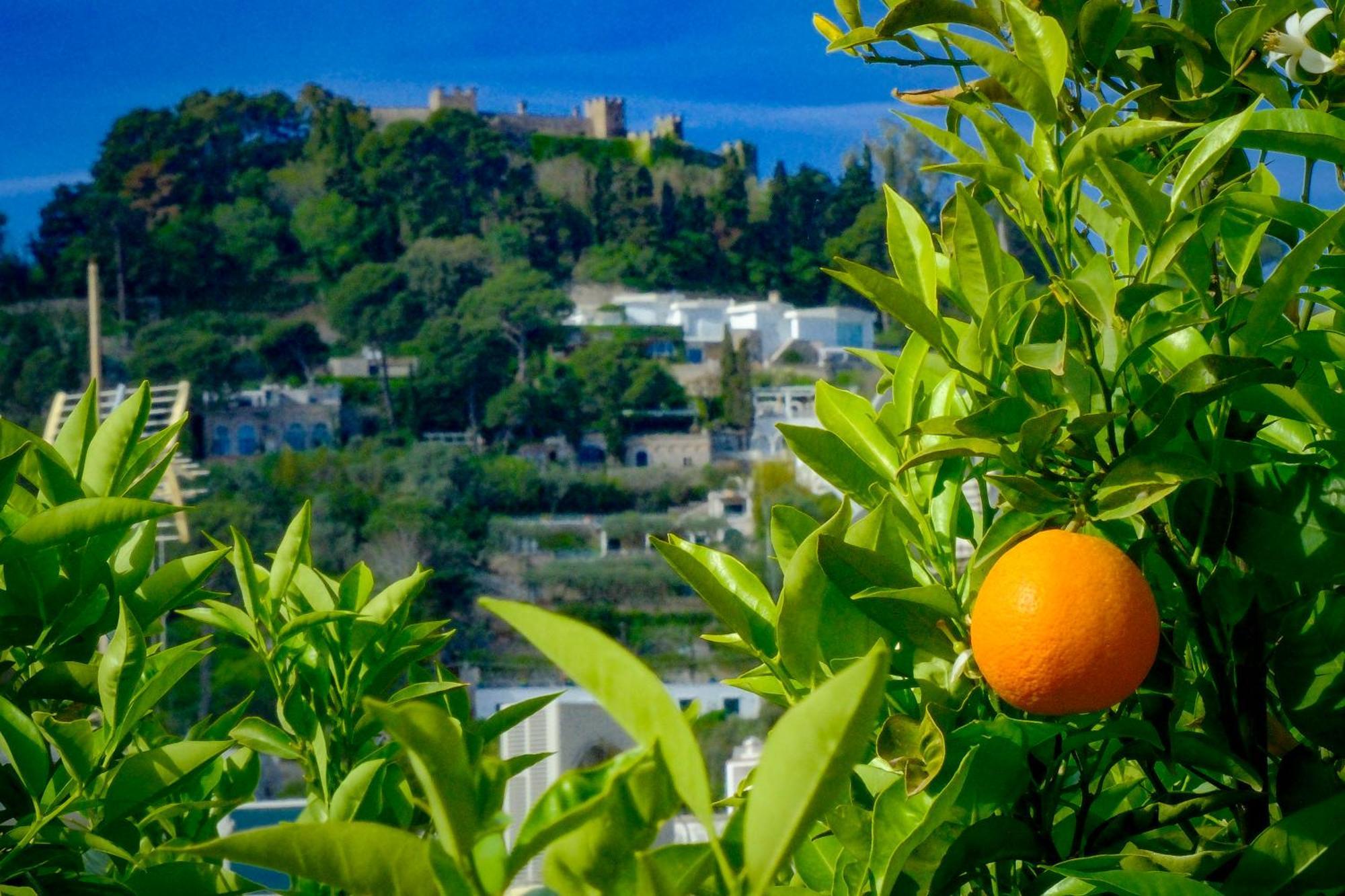 Villa Dorothee Capri Dış mekan fotoğraf