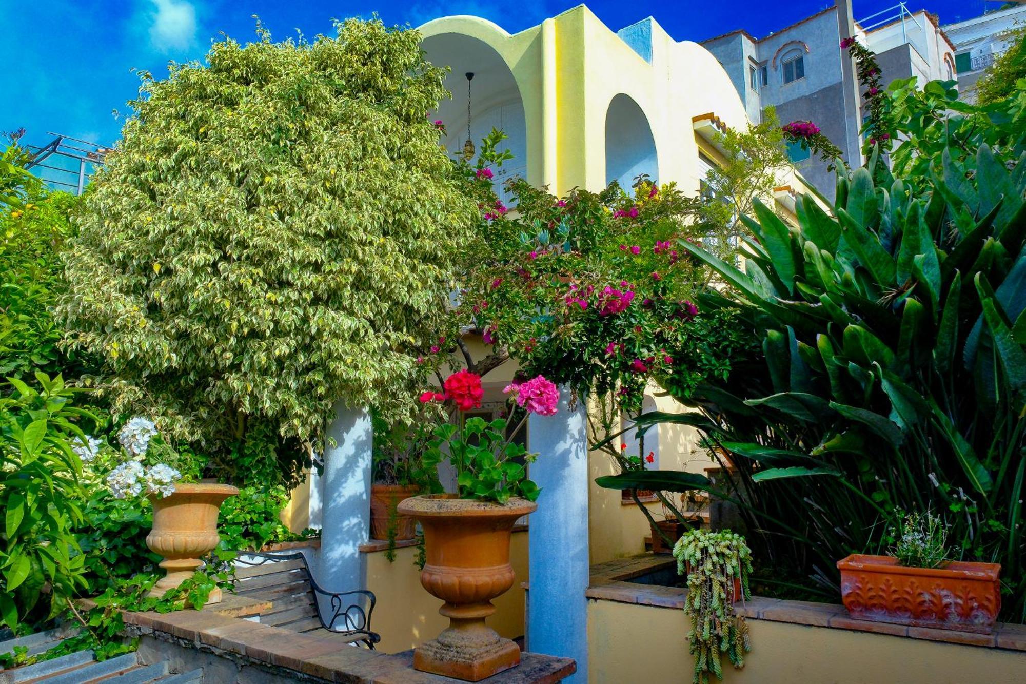 Villa Dorothee Capri Dış mekan fotoğraf