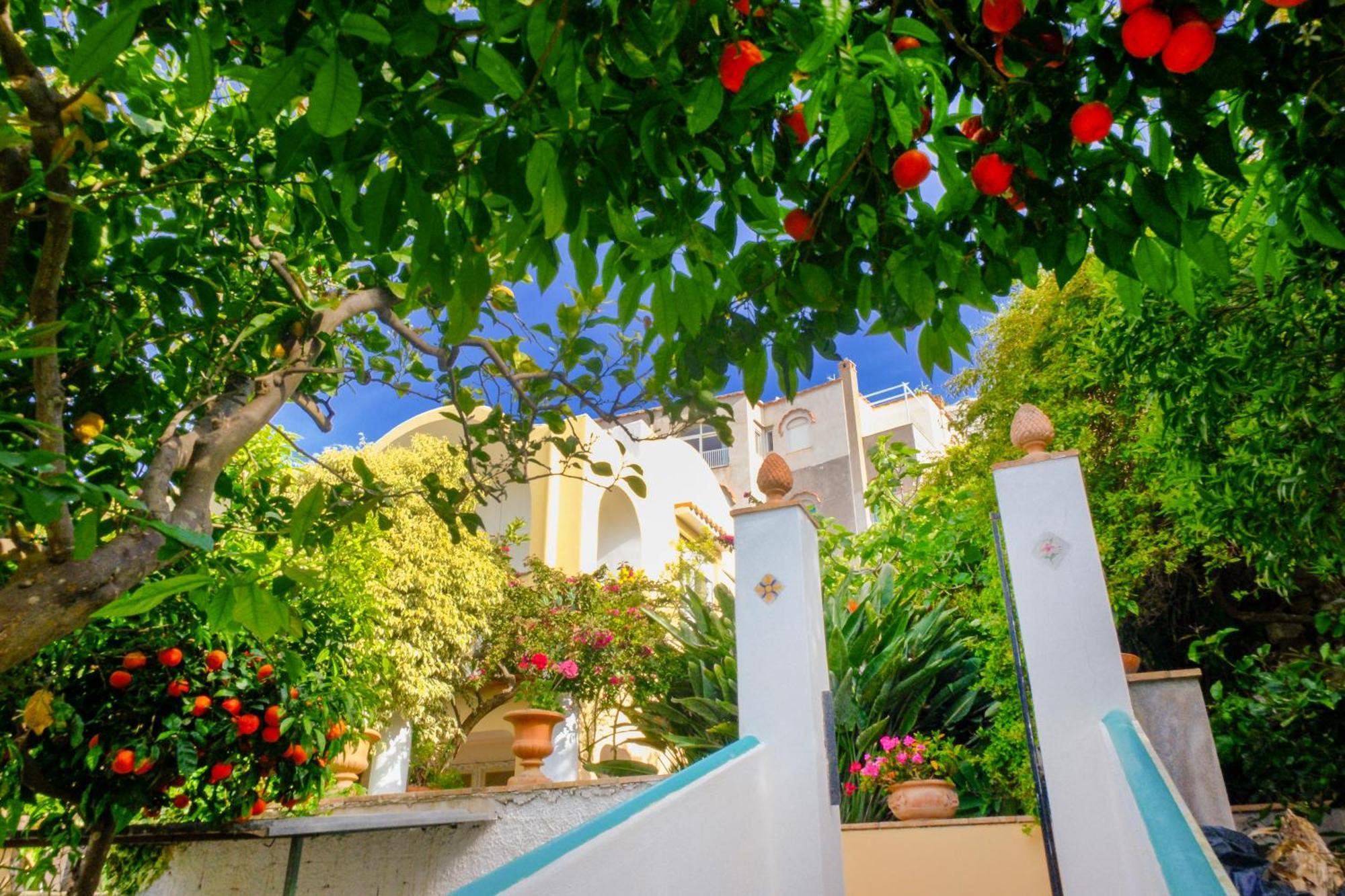 Villa Dorothee Capri Dış mekan fotoğraf