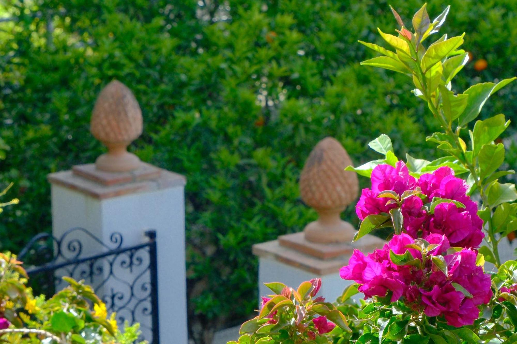 Villa Dorothee Capri Dış mekan fotoğraf